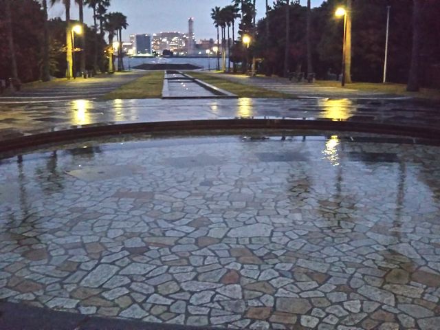 ���R�̏��_���i���j����������̕��i�ł��B�e�������ł��B_���R�̏��_���i���j