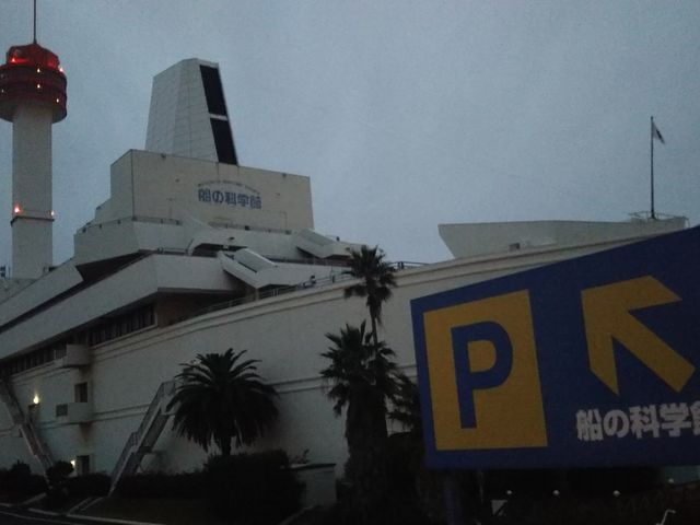 D̉ȊwكxCTCheXLr_D̉ȊwكxCTCheXLr