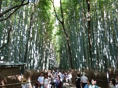 񂳂̒|т̓ւ̓eʐ^1