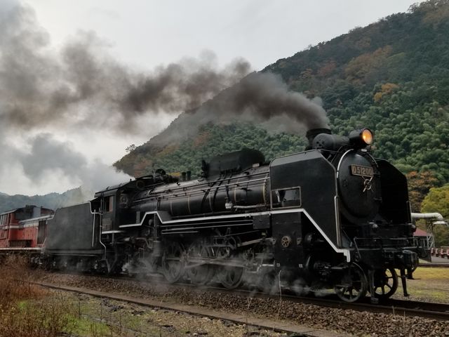 津和野 津和野温泉】アクセス・営業時間・料金情報 - じゃらんnet