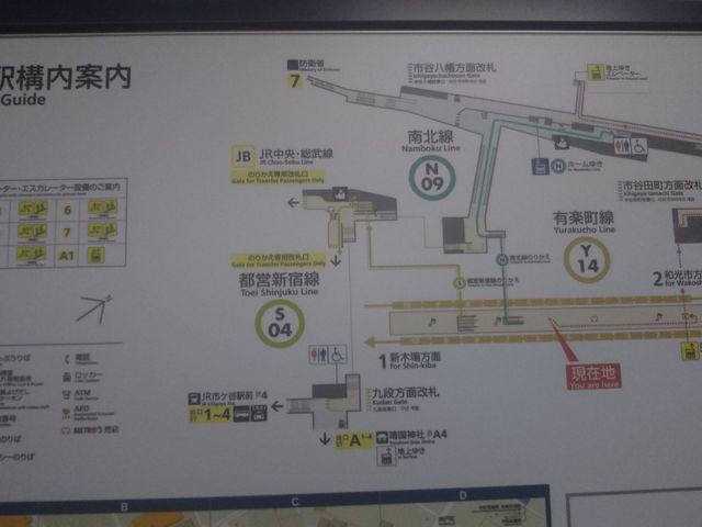 �L�y�����ѓc���w�̍\���}�ł��B_�L�y���� �ѓc���w