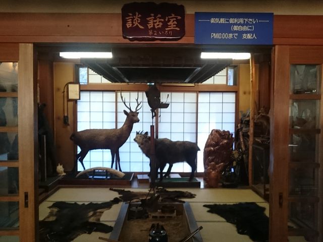 �k�b���B�����������r�[��������ł�OK!_���m���i���S�{����j