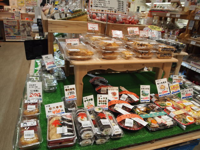 _Y₨ٓ@oRqp_̉w ik̗