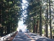 ΂Ȃ䂫䂫̓؂̓eʐ^1