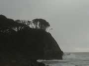 TrL̃ujbPČт̓eʐ^1