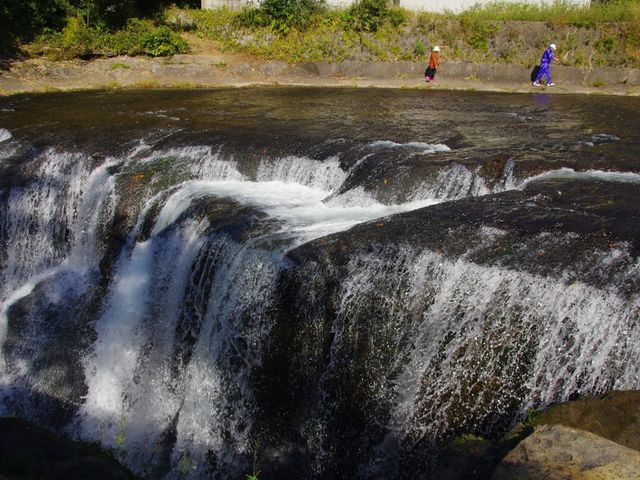 �犘��̌��������U������v�w�B_����̑�C�`���E