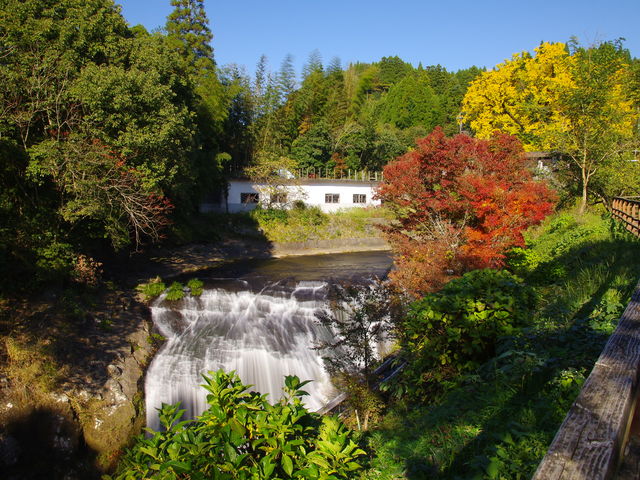 ��C�`���E����犘���ʂ�A����̑�ɒʂ���V�����B_����̑�C�`���E