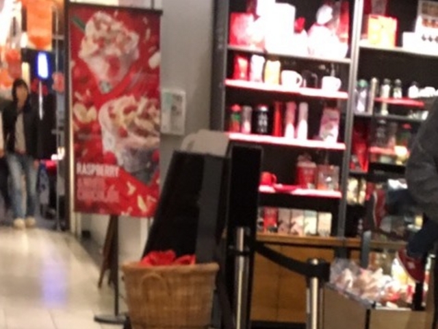 O_X^[obNXR[q[@EXPASAݏT[rXGAijX