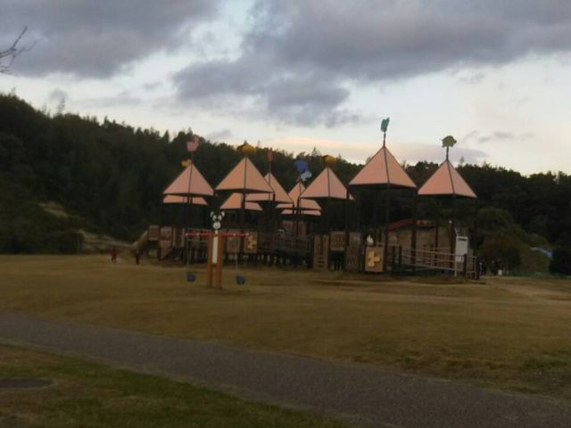 �V��_���Z������������