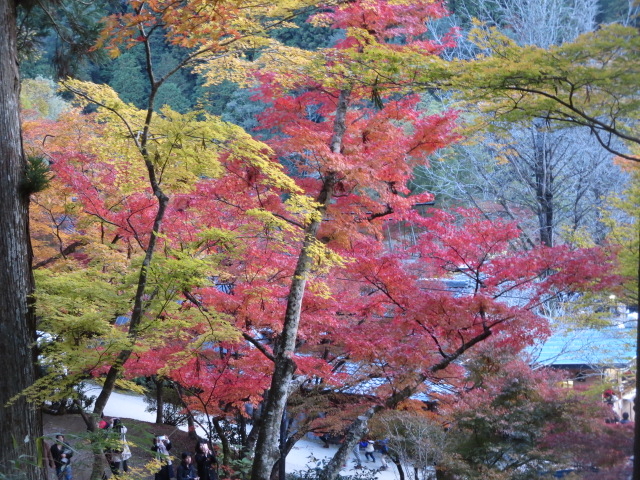 CgAbvꂽXB
YɎB肽łBi
łB_k