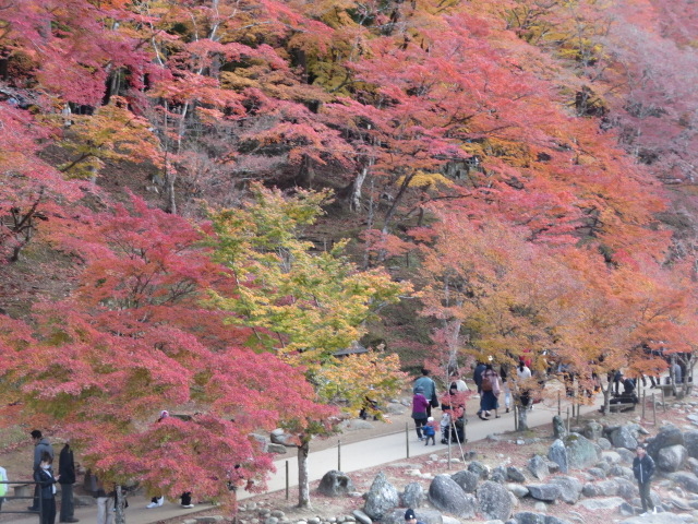 ŃAꂢȍgtł
߂ČėǂB_k