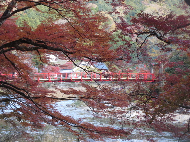 FȐԐFAy܂Ă炦܂B_k