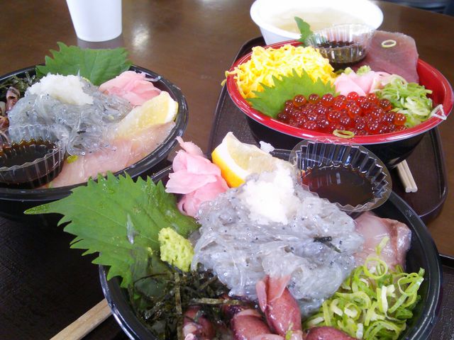 �V�[�Y���Ȃ琶�V���X�������ł��B_���̉w ���킶