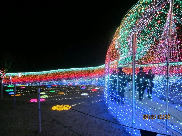 ������Ƃ���ɂ���ȃC���~�l�[�V������_�����h�C�c��