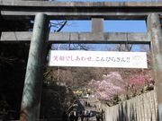 ڂ肳̋䗅{_̍Ԃ̓eʐ^1