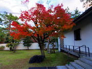 k2ug̒CnlÎق̓eʐ^1