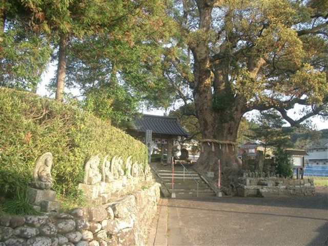 JOE����̓��Q���̑�N�X�̓��e�ʐ^1