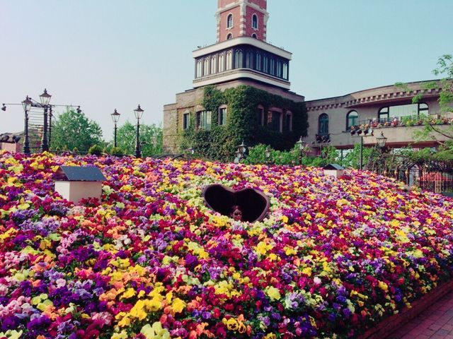 ���Ԃ��炢�Ă��鎞���͂���Ȋ����ł��B_�������l�p�[�N