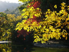 栗林公園の紅葉 アクセス 営業時間 料金情報 じゃらんnet