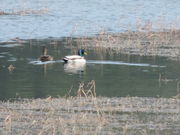 JOE����̉_��z�K�̒r�r�W�^�[�Z���^�[�̓��e�ʐ^1