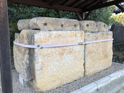 �Ђ��͂񂳂�̖쒆���̓��e�ʐ^1