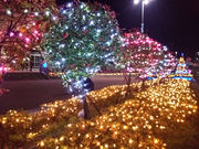 Ȃ䂫̐s敶Z^[̓eʐ^1