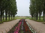 񂳂̂ӂꂠ̓m̓eʐ^3