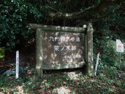 JOE̋BRi茧ێsj̓eʐ^1