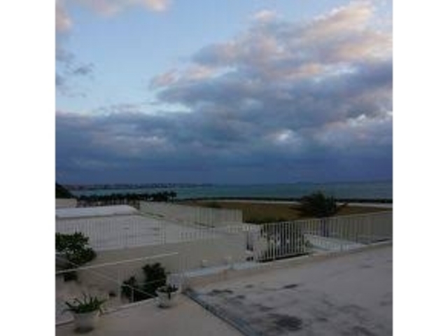 �C�̋߂��ŃL���C�ł�_�������E�~�J�W�e���X