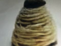 マロンさんさんのshakers cafelounge+SOZ  なんばCITYへの投稿写真1