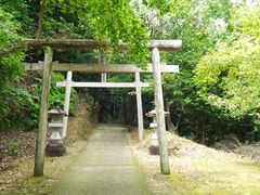 �O�����l����̑���_�Ђւ̓��e�ʐ^3