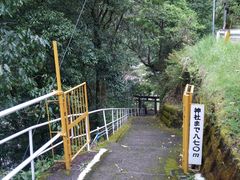 �O�����l����̑���_�Ђւ̓��e�ʐ^5