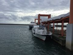 肿񂳂̔dRόtF[ւ̓eʐ^1