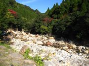 micky7777̉PkJX̉w݂̓eʐ^1