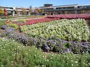 ̐Hӂ邳Ƃ̐X̓eʐ^1