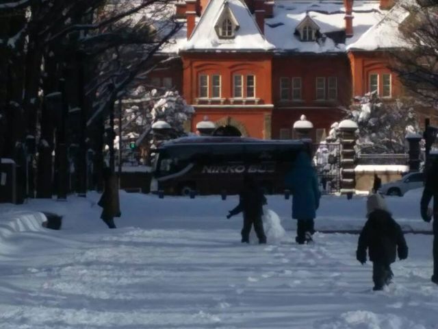 �ቻ�ς̓���_�k�C�������{����(�Ԃ�񂪒���)