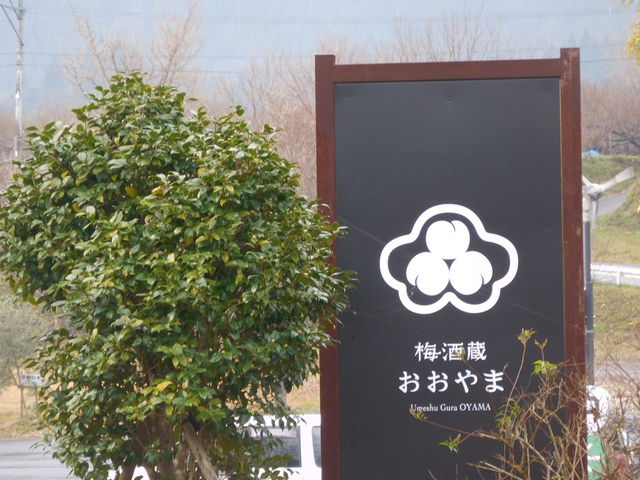 Ŕł_LERЂт̋@̌H[