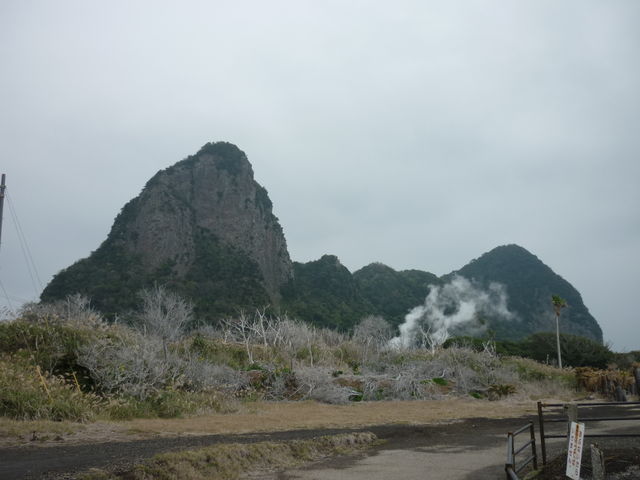 �|�R_�w���V�[�����h�I�V���C�u���܂Ĕ�����v