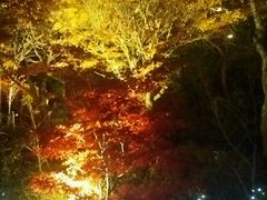 hS48̗Ln }̓ւ̓eʐ^1