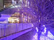 ܂܂̃^[YR[q[qX̓eʐ^1