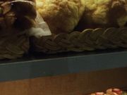 ptF̃NbNEnEX Ȃ΃EH[Nd`rsX̓eʐ^1