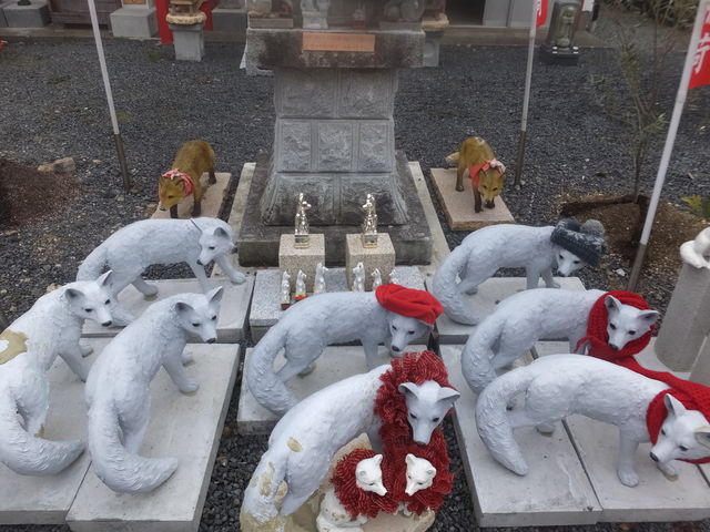 vcR^򎛂ׂ̂Aϗl_vcR@^