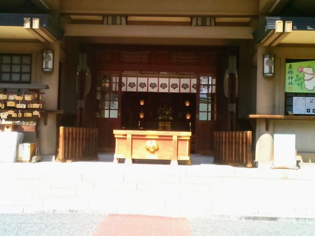 �����_��_�����_��