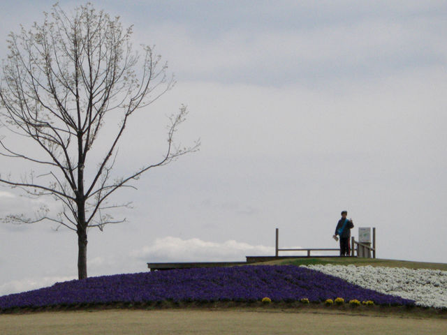 �H�����̉w_�X�[�p�[���N�����h�@�؂̂�