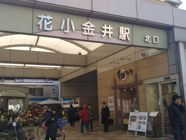 ~X^[h[icԏwVbv̍Ŋw͉ԏw̉D炷B_~X^[h[icԏwVbv