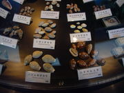 ^񂳂̐^ߒLޔق̓eʐ^1