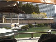 cJ擙X͂̏Zl̎Oc{X ₷炬̋ 󃖒rX̓eʐ^3