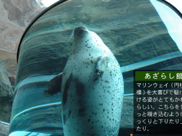 �����炵��_���R������