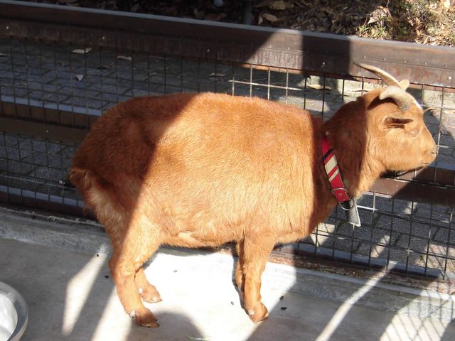 �D_���͌���