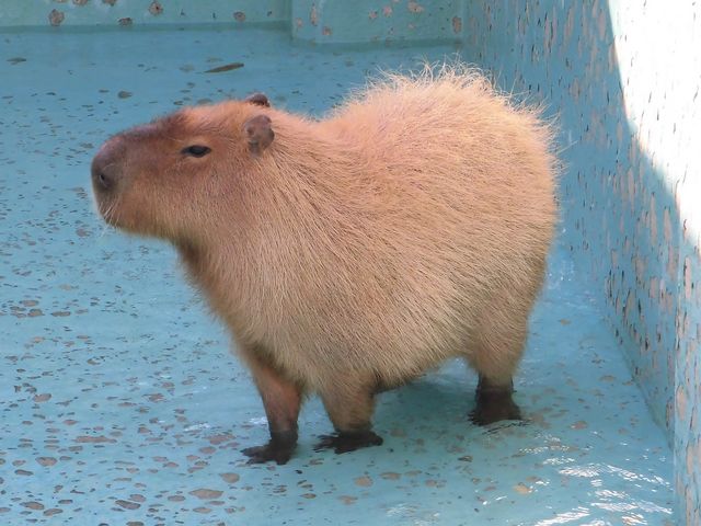 �F_���͌���